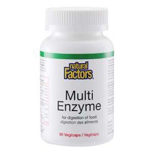 Natural Factors Multi Enzyme Capsule - 90s