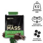 Optimum Nutrition Serious Mass Chocolate Powder