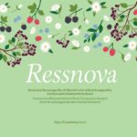 RESSNOVA: Ashwagandha-Holixer Berry Flavoured Premix